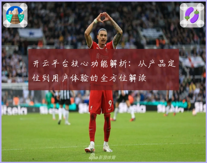 开云平台核心功能解析：从产品定位到用户体验的全方位解读