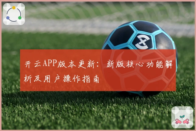 开云APP版本更新：新版核心功能解析及用户操作指南